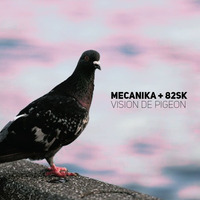 Mecanika + 82sk - vision de Pigeon ft.Illest by Mecanika