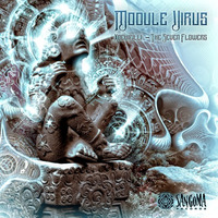 Module Virus - Xochipili The Seven  Flowers /Album teaser (Sangoma Records) by Sangoma Records