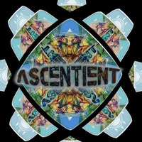 The Secrets Out (Available in the Nov issue of Relix Magazine sampler CD) by Ascentient
