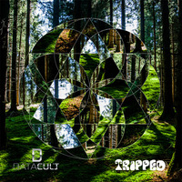 Trippedelic Episode 2 Mixed By Datacult by Datacult