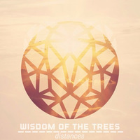 Distances by Will Elmore / Wisdom of the Trees / C-mor Clinic