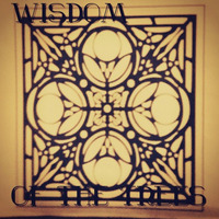 Fleeting is the time by Will Elmore / Wisdom of the Trees / C-mor Clinic