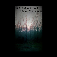 02.ghost To You by Will Elmore / Wisdom of the Trees / C-mor Clinic
