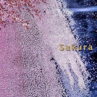 Sakura by Kanno Hisao