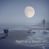 Night On A Beach by Kanno Hisao