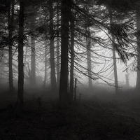 The Mist Hides Secrets Unknown (8.11.2014) by Deidriim