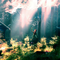 Illuminated Forest (Promo Mix 18.3.2014) by Deidriim
