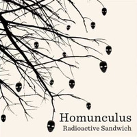 Radioactive Sandwich - Homunculus (Nibana Remix) // FREE DOWNLOAD WAV // by Nibana