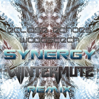 Eclipse Echoes & Woodstech - Synergy Wintermute RMX (preview) by Wintermute / Dende