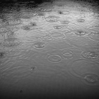 maurice.rebell - autumn rain by V/oct. | acid operator