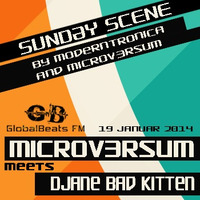 SUNDAY SCENE episode 39 Microv3rsum & Djane Bad Kittin by Mood Impact (Moderntronica)