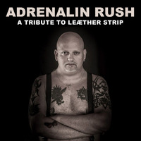 Adrenaline Rush Leather Strip Cover by Tommes Readjust