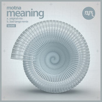 Motna - Meaning (Bad Tango Remix) [OUT NOW!] by Bad Tango