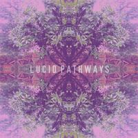Lucid by LUCID PATHWAYS