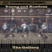 The Gallery - Young And Restless (amacca mix) by amacca