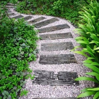 Is This The Infamous Garden Path by Larry Collen