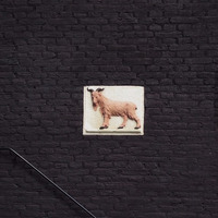 Piezo - The Goat EP by Piezo