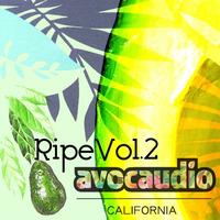OUT NOW Ripe Vol 2. Sun Collective Track Previews