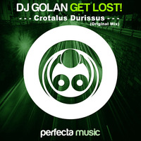 DJ Golan - Crotalus Durissus (Original Mix) [Perfecta Music] | 2014 by DJ Golan