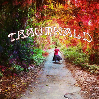 Traumwald || 26.08.2016 || 22-23h by Enlightened You