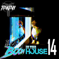 Boom Boom In The House #14 by Santiago Tiantai