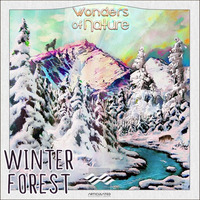 Winter Forest Ambience Library - Audio Demo by Articulated Sounds