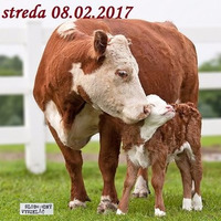 Farmári 07 - 2017-02-08 život farmárky Mišky Rosovej by Slobodný Vysielač