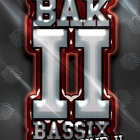 Stee Bak II Bassix Mix 2 by Stee