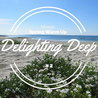 Spring Warm Up ? Delighting Deep #2 ? Playlist w Mixtape