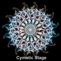 Sincronias del camino (Cymatic Stage @ Zuvuya Festival 2013) by Alucine
