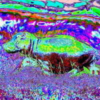 Tripping Hippo In A Psychedelic Savanna by rumblin_cynth_rampo