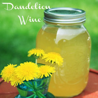Dandelion Wine (OOO18 Tonerite-Treated) by Scott Hunter