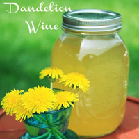 Dandelion Wine - Late Harvest by Scott Hunter