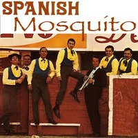 Spanish Mosquito by Scott Hunter