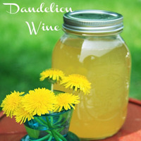 Dandelion Wine by Scott Hunter