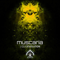 Muscaria - Wrong side of the Mirror (Liquid Evolution) by Muscaria
