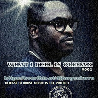 What Feel Is Clímax #01 by Jorge Nkuvu