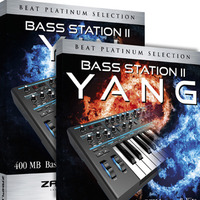 BassStation II YinYang Demo by Beat-Magazin