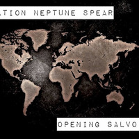 Subvert by Operation Neptune Spear