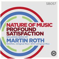 Nature Of Music - Profound Satisfaction (Martin Roth Remix) by djmartinroth