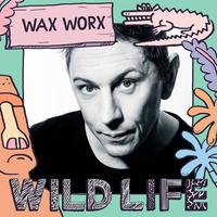 Wax Worx - Closing The Kopparberg Stage - Wild Life Festival 2016 by Wax Worx