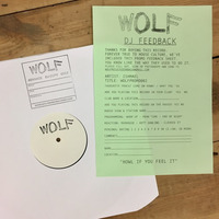 Ishmael - Want You '16 (WOLFPROMO002) by WOLF Music