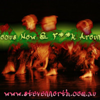Just Focus Now & F**k Around (Original Mix) by Steven North