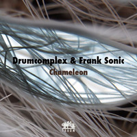 Drumcomplex & Frank Sonic - Ikaruna (Traum V213) by Traum