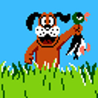 duck hunt flaps by devicer