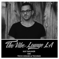 THE VIBE LOUNGE LA - Kay Bauher - 038 - Tech House-Techno-Definition Mix by The Vibe Lounge LA