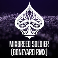 Lowroller - Mixbreed Soldier (Boneyard Remix) by Lowroller