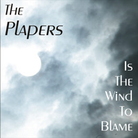 The PLAPers - "Is The Wind To Blame" mixed/mastered by Arthur Labus by Arthur Labus