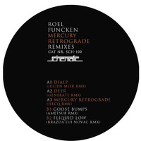 Roel Funcken - Fliquid Low (BLN Remix) by BLN