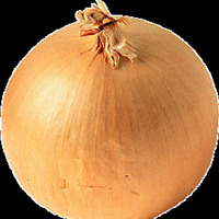 Onion by obver